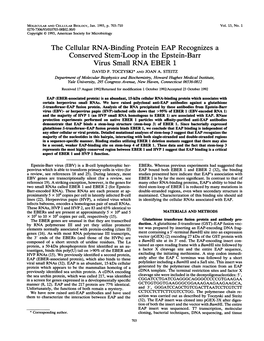 The Cellular RNA-Binding Protein EAP Recognizes a Conserved Stem:Loop in the Epstein-Barr Virus Small RNA EBER 1 DAVID P