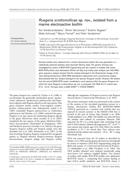 Ruegeria Scottomollicae Sp. Nov., Isolated from a Marine Electroactive Biofilm