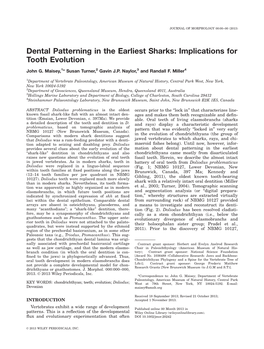 Dental Patterning in the Earliest Sharks: Implications for Tooth Evolution