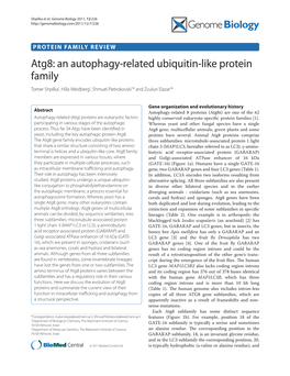 Atg8: an Autophagy-Related Ubiquitin-Like Protein Family Tomer Shpilka1, Hilla Weidberg1, Shmuel Pietrokovski2* and Zvulun Elazar1*