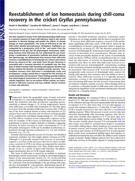 Reestablishment of Ion Homeostasis During Chill-Coma Recovery in the Cricket Gryllus Pennsylvanicus