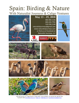 Spain: Birding & Nature