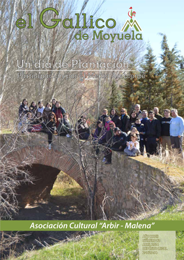 Un Día De Plantación Participación Por El Medio Ambiente