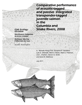 Comparative Performance of Acoustic-Tagged and Passive Integrated Transponder-Tagged Juvenile Salmon in the Columbia and Snake Rivers, 2008