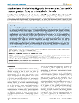 Mechanisms Underlying Hypoxia Tolerance in Drosophila Melanogaster: Hairy As a Metabolic Switch