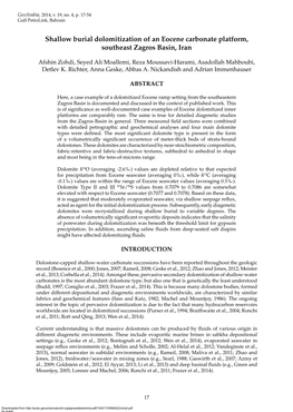 Shallow Burial Dolomitization of an Eocene Carbonate Platform, Southeast Zagros Basin, Iran