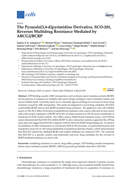 The Pyrazolo[3,4-D]Pyrimidine Derivative, SCO-201, Reverses Multidrug Resistance Mediated by ABCG2/BCRP