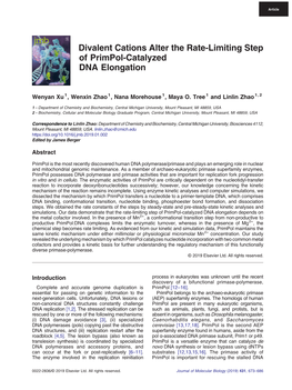 Divalent Cations Alter the Rate-Limiting Step of Primpol-Catalyzed DNA Elongation