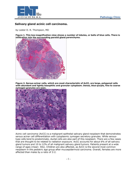 Pathology Clinic Salivary Gland Acinic Cell