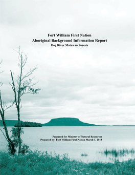 FWFN Aboriginal Background Information Report – Dog River