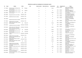 Office 2007 XLSX TN Report Document