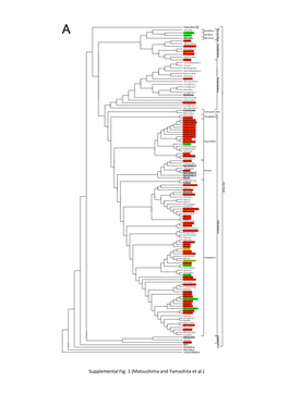 Supplemental Fig. 1