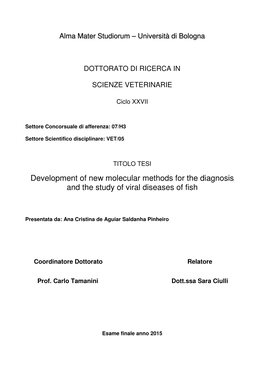 Development of New Molecular Methods for the Diagnosis and the Study of Viral Diseases of Fish