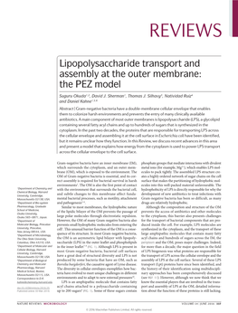 Lipopolysaccharide Transport and Assembly at the Outer Membrane: the PEZ Model