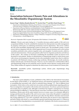 Association Between Chronic Pain and Alterations in the Mesolimbic Dopaminergic System