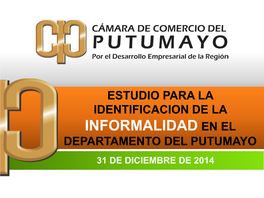 Estudio De Informalidad 2014