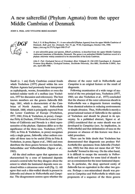 A New Salterellid (Phylum Agmata) from the Upper Middle Cambrian of Denmark