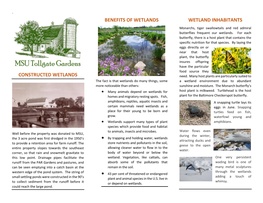 Constructed Wetlands Benefits of Wetlands