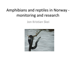 Amphibians and Reptiles in Norway - Monitoring and Research Jon Kristian Skei Norwegian Amphibians and Reptiles