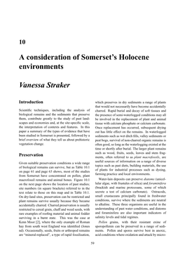 A Consideration of Somerset's Holocene Environments