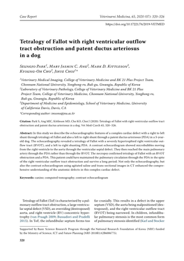 Tetralogy of Fallot with Right Ventricular Outflow Tract Obstruction and Patent Ductus Arteriosus in a Dog