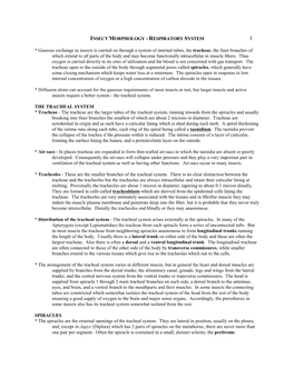 Insect Morphology - Respiratory System 1