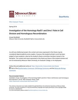 Investigation of the Homologs Rad51 and Dmc1 Role in Cell Division and Homologous Recombination