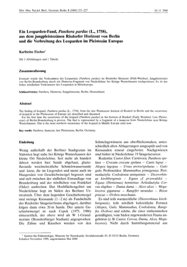 Ein Leoparden-Fund, Panthera Pardus (L., 1758), Aus Dem Jungpleistozanen Rixdorfer Horizont Von Berlin Und Die Verbreitung Des Leoparden Im Pleistozan Europas