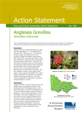 Anglesea Grevillea