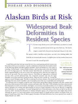 Alaskan Birds at Risk