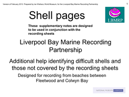 Shell Identification Guide