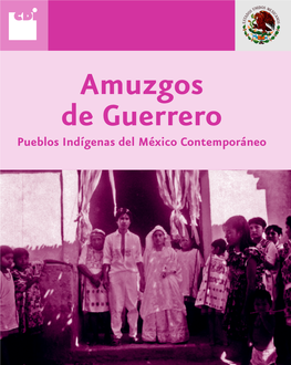 Amuzgos De Guerrero Pueblos Indígenas Del México Contemporáneo