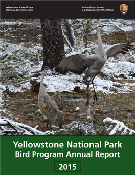 Yellowstone National Park Bird Program Annual Report 2015 Observing Birds at Promontory Point, Along the Southern Shore of Yellowstone Lake