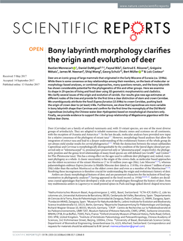 Bony Labyrinth Morphology Clarifies the Origin and Evolution of Deer