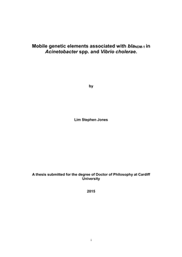 Mobile Genetic Elements Associated with Blandm-1 in Acinetobacter Spp