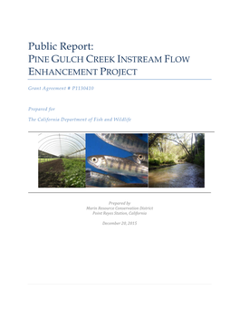 Pine Gulch Creek Instream Flow Enhancement Report