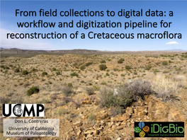 From Field Collections to Digital Data: a Workflow and Digitization Pipeline for Reconstruction of a Cretaceous Macroflora