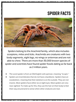 Spider Facts