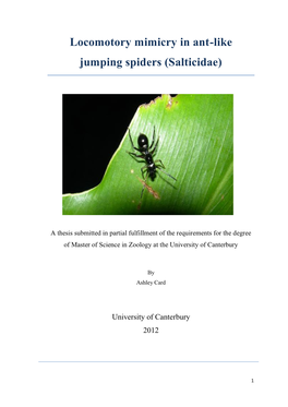 Locomotory Mimicry in Ant-Like Jumping Spiders (Salticidae)