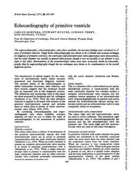 Echocardiography of Primitive Ventricle