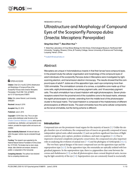 Ultrastructure and Morphology of Compound Eyes of the Scorpionfly Panorpa Dubia (Insecta: Mecoptera: Panorpidae)