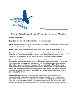 Bodensee Nature Museum Evolution Worksheets: Selection and Adaptation