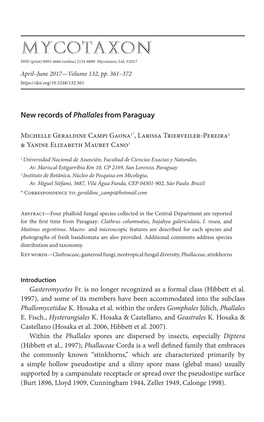 New Records of <I> Phallales </I> from Paraguay