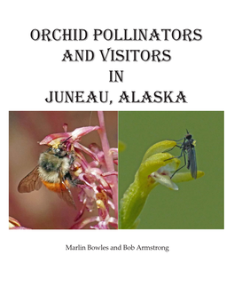 Orchid Pollinators and Visitors in Juneau, Alaska