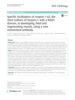 Specific Localization of Nesprin-1-Α2, the Short Isoform of Nesprin-1 with a KASH Domain, in Developing, Fetal and Regenerating