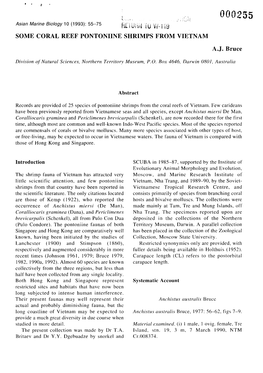 Asian Marine Biology 10 (1993): 55-75 Y J ^ J Y Yy