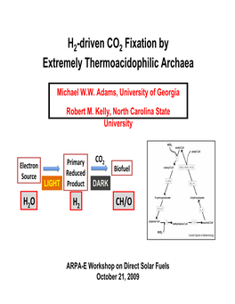 H2-Driven CO2 Fixation by Extremely Thermoacidophilic Archaea