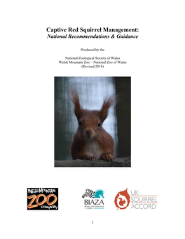 Red Squirrels in Captivity 6