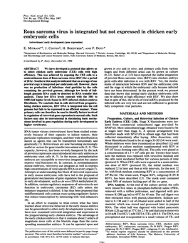 Rous Sarcoma Virus Is Integrated but Not Expressed in Chicken Early Embryonic Cells (Retroviruses/Early Development/Gene Expression) E