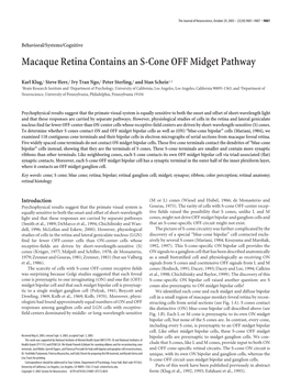 Macaque Retina Contains an S-Cone OFF Midget Pathway